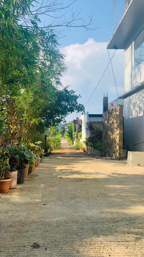 Hidden Of Cailan Inn 엘니도 외부 사진